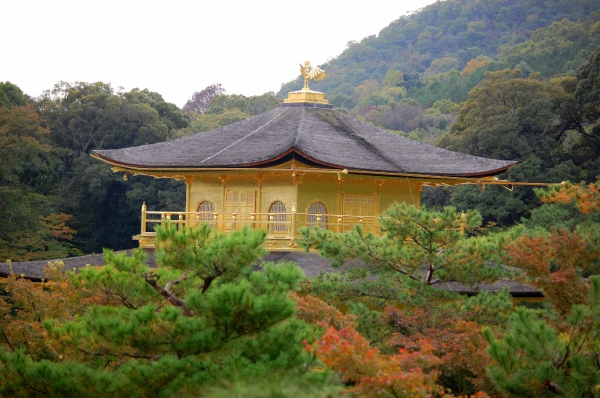 Zdjęcie z Japonii - Złoty Pawilon