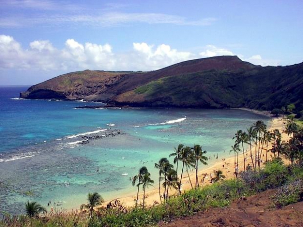 Zdjecie - Stany Zjednoczone - Hawaje, wyspa Oahu