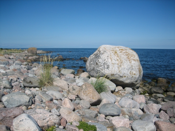 Zdjęcie z Estonii - Typowy Estoński brzeg