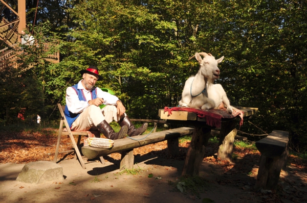 Zdjęcie z Polski - Kupując ser kozi mieliśmy