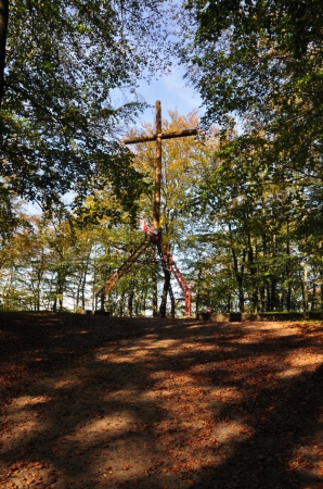 Zdjęcie z Polski - Krzyż na szczycie Wieżycy
