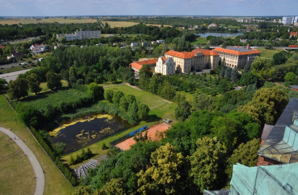 Zdjęcie z Polski - Panorama Gniezna 