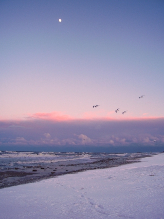 Zdjęcie z Polski - plaża zimą