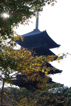 Zdjęcie z Japonii - Pagoda Toji