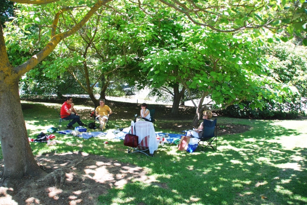 Zdjęcie z Australii - Na pikniku