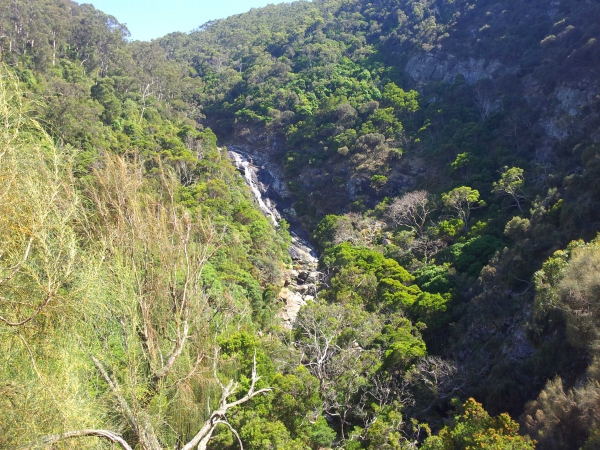 Zdjęcie z Australii - Jeden z wielu wodospadow