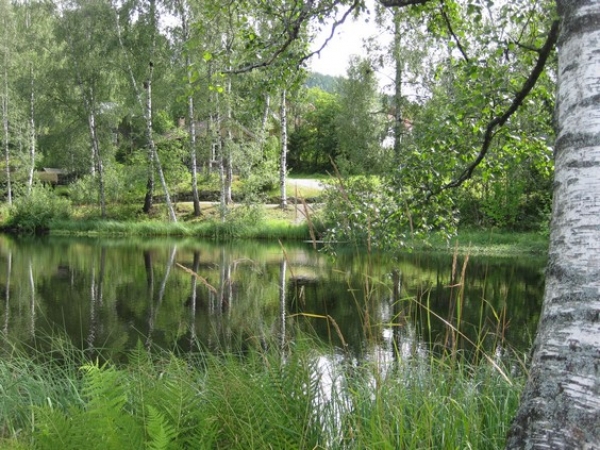 Zdjęcie z Norwegii - Maihaugen