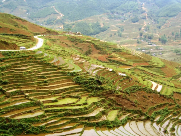 Zdjęcie z Wietnamu - sa pa -pola ryzowe