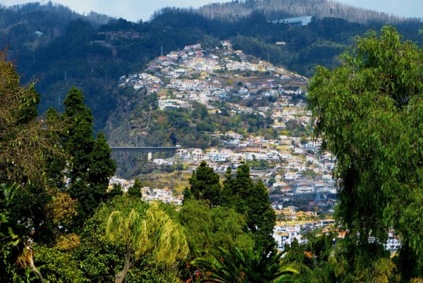 Zdjęcie z Portugalii - Funchal 