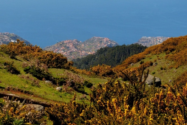Zdjęcie z Portugalii - widoki z levada du Norte