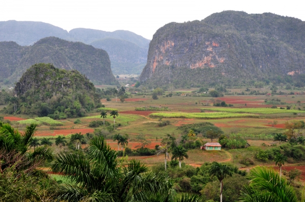 Zdjęcie z Kuby - Valle de Vinales