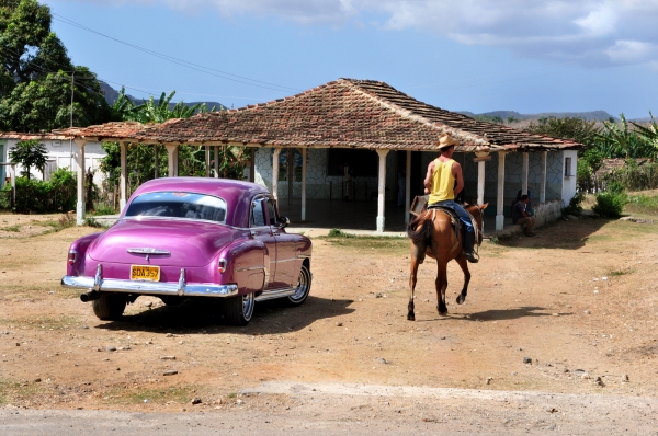 Zdjęcie z Kuby - Valle de los Ingenios
