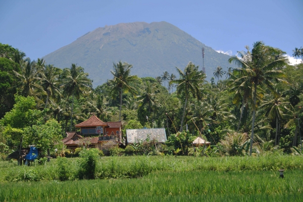 Zdjęcie z Indonezji - Krajobraz wschodniej Bali