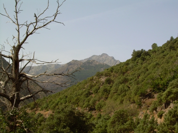 Zdjecie - Francja - Korsyka - cz.2 - Góry