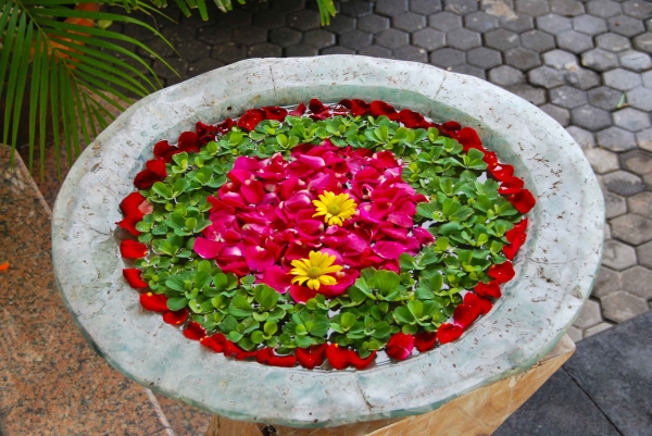Zdjęcie z Indonezji - Wodno-kwiatowa kompozycja
