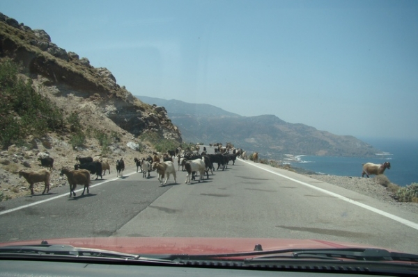 Zdjęcie z Grecji - Gdzies w drodze