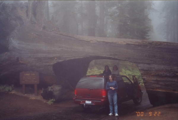 Zdjęcie ze Stanów Zjednoczonych - Park Narodowy Sequoia