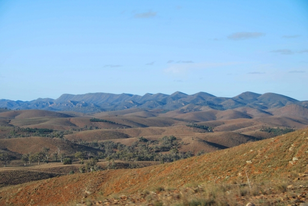 Zdjęcie z Australii - Krajobraz Glinders Ranges