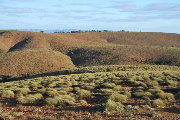 Zdjęcie z Australii - Krajobraz Flinders Ranges