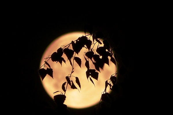 Zdjęcie z Polski - Majowy księżyc