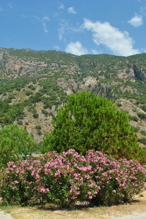 Zdjęcie z Turcji - otoczone górami Oludeniz