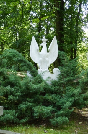 Zdjęcie z Polski - Cmentarz Wojenny