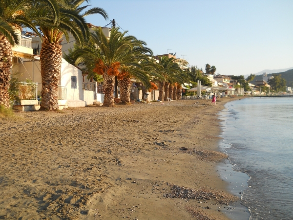 Zdjęcie z Grecji - Ranek na plaży w Tolo