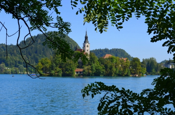 Zdjęcie ze Słowenii - Jezioro Bled