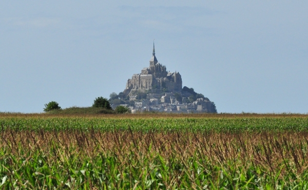 Zdjęcie z Francji - Mont Saint-Michel