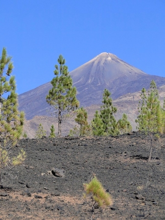 Zdjęcie z Hiszpanii - Pico del Teide - 3718m 