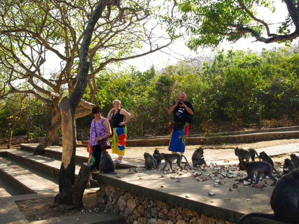 Zdjęcie z Indonezji - Z uluwackimi makakami
