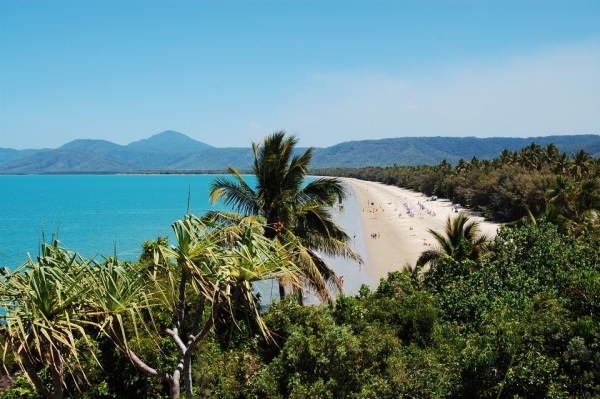 Zdjecie - Australia - Cairns - Port Douglas - Palm Cove