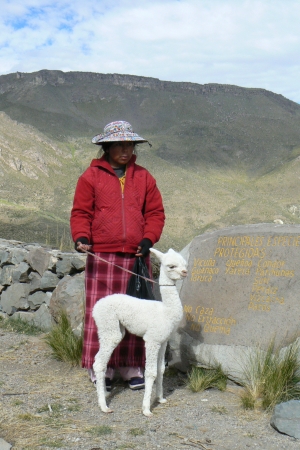 Zdjęcie z Peru - Andy