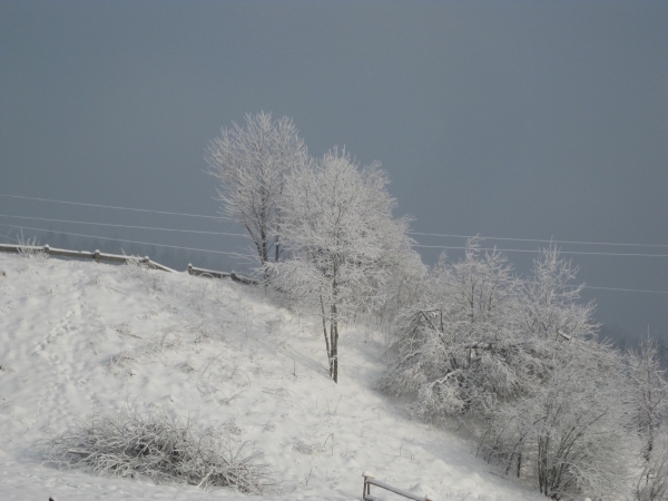 Zdjęcie z Polski - zima