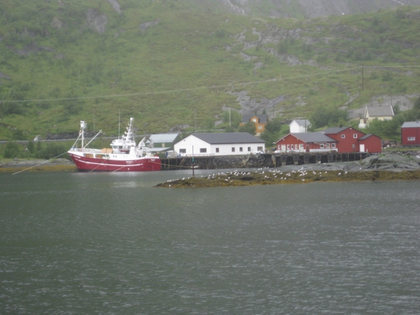 Zdjęcie z Norwegii - Reine 2012