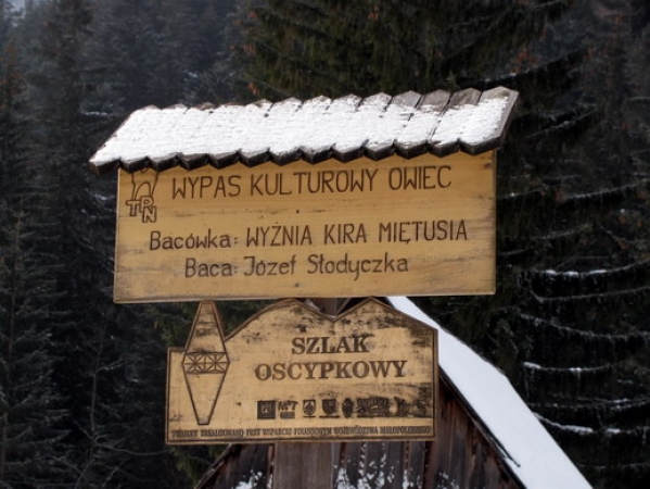 Zdjęcie z Polski - Dolina Kościeliska.