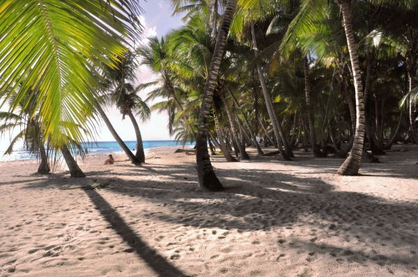 Zdjęcie z Dominikany - wyspa Saona