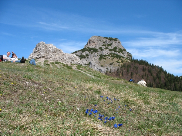 Zdjęcie ze Słowacji - odpoczynek wśród goryczek