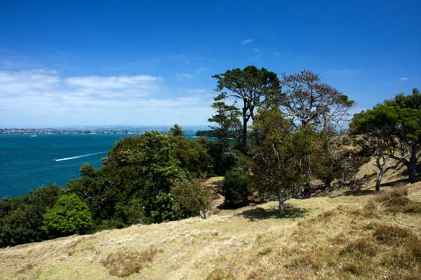 Zdjęcie z Nowej Zelandii - TAURANGA