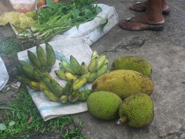 Zdjęcie ze Sri Lanki - owoce