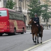Zdjęcie z Wielkiej Brytanii - Policja konna
