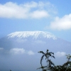 Zdjęcie z Kenii - Kilimandzaro