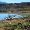 Zdjęcie z Chile - Torres del Paine