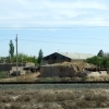 Zdjęcie z Uzbekistanu - gospodarstwa