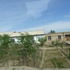 Zdjęcie z Uzbekistanu - przydomowe uprawy