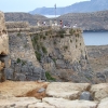 Zdjęcie z Grecji - Wyspa Gramvousa