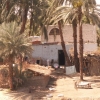 Zdjęcie z Egiptu - Farma nad Nilem.