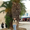 Zdjęcie z Tunezji - centrum Sousse