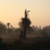 Zdjęcie z Tunezji - Wschód słońca