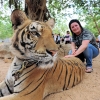 Zdjęcie z Tajlandii - Swiatynia tygrysow.